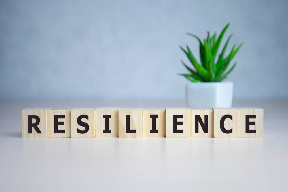 Practical strategies for resilience of startups