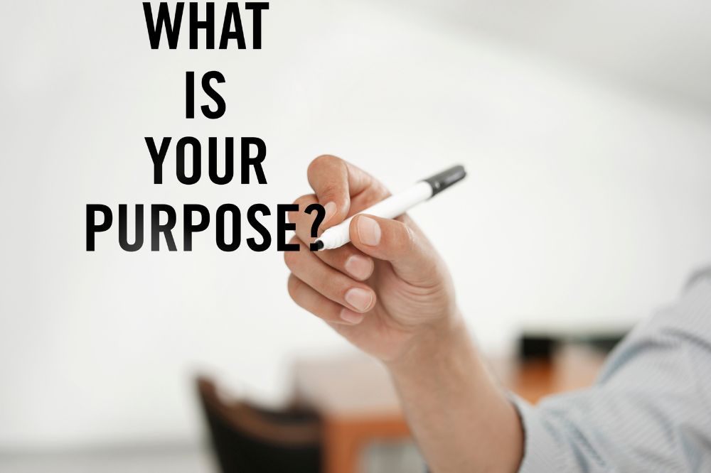 What purpose entrepreneurship